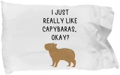 כרית Capybara - מתנות קפיברה - מארז כרית קפיברה - מתנה חובבת קפיברה