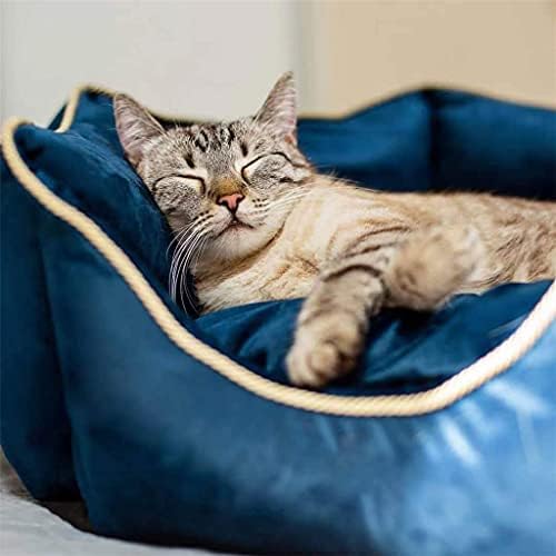 MJWDP חתולי חורף מיטת חיות מחמד מיטה חמה מיטת מיטת כלב נוחה מיטת גורים רכה מיטת מיטת כלב קטן חתולים מלטה ספה חיות מחמד