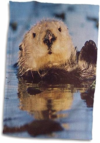3drose חיות פלורן - Ollie Otter - מגבות